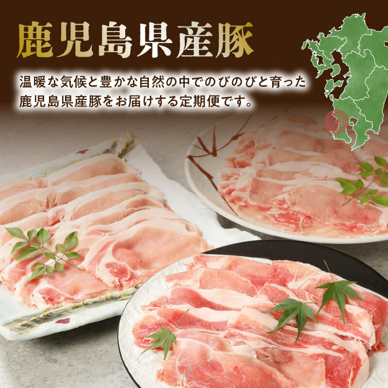 【ふるさと納税】定期便 全4回 鹿児島県産 カミチク 豚 豚肉 しゃぶしゃぶ 肩ロース 豚バラ バラ ロース 豚ロース 使い切りサイズ 生姜焼き かつ 食品 食べ物 国産 鹿児島県 南九州市 お取り寄せ お取り寄せグルメ 送料無料