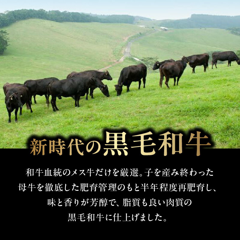 鹿児島県南九州市の画像3