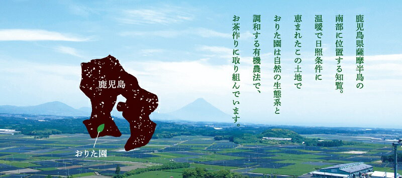 【ふるさと納税】知覧茶 100g 5本 セット 計 500g お茶 茶葉 緑茶 おりたの特別栽培 栽培期間中 農薬不使用 南九州市知覧産 国産 優しい味 懐かしい香り ティータイム 自園自製 おりた園 鹿児島県 南九州市 お取り寄せ 送料無料