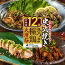 【ふるさと納税】【全12回】さつま極鶏大摩桜 炭火焼き3種と炭焼き塩たたき定期便