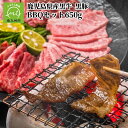 yӂ邳Ɣ[ŁzY BBQZbg650g