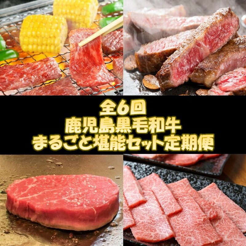 15位! 口コミ数「0件」評価「0」【全6回】鹿児島黒毛和牛まるごと堪能セット定期便