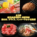 【ふるさと納税】【全3回】鹿児島黒毛和牛・黒豚堪能焼き肉、スライス、ハンバーグセット定期便