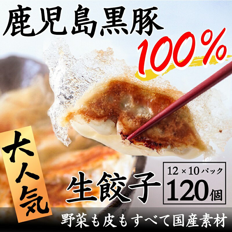 【ふるさと納税】肉汁あふれる 鹿児島黒豚 餃子 120個 12個 × 10パック こだわり　すべて厳選国産素材 黒豚餃子 鹿児島県産黒豚 100%使用 国産 生餃子 豚肉 肉汁 ジューシー もちもち 冷凍 美味しい 食品 惣菜 中華惣菜 お取り寄せ グルメ 鹿児島県 南九州市 送料無料