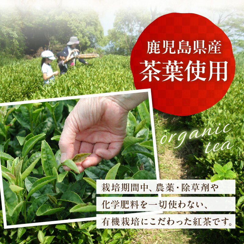 鹿児島県南九州市の画像3