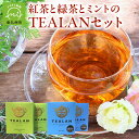 【ふるさと納税】紅茶と緑茶とミントのTEALANセット