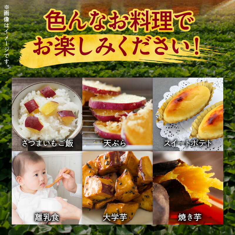 鹿児島県南九州市の画像3