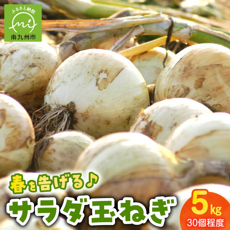 【ふるさと納税】春を告げるサラダ玉ねぎ5kg