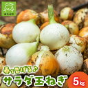 スライスでも、生でもおいしい春の味覚！ サラダ玉ねぎ5kgセットです。1箱で30個前後入っています。 もちろん、焼いても、炒めても、煮込みでも、幅広く活躍する食材です。 3月下旬から6月頃にかけてお届けいたします。 商品説明 名称 玉ねぎ 産地 南九州市産 内容量 サラダ玉ねぎ5kg（30個程度） 原材料名 玉ねぎ 賞味期限 約1か月 保存方法 常温、冷暗所 提供者 【山脇農園】 〒891-0702 鹿児島県南九州市頴娃町牧之内5537 備考 ・寄附申込みのキャンセル、返礼品の変更・返品はできません。あらかじめご了承ください。 ・ふるさと納税よくある質問はこちらご寄附ありがとうございます！リアルタイム注文状況