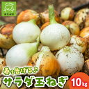 【ふるさと納税】春を告げるサラダ玉ねぎ10kg