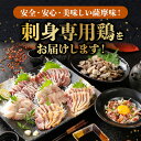 鹿児島県南九州市の画像3