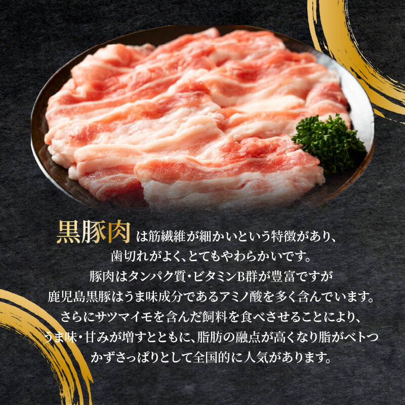 鹿児島県南九州市の画像3