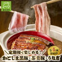 【ふるさと納税】定期便 4回 かごしま黒豚 茶美豚 ウナギ 定期便 鹿児島県産 黒豚 豚肉 しゃぶしゃぶ用 バラ ロース うなぎ 食べ比べ 便利 冷凍 お取り寄...