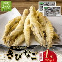 【ふるさと納税】鹿児島県産 キビナゴ 1kg 海の幸 南蛮漬け 天ぷら 煮つけ 塩焼き 唐揚げ 国産 鹿児島県 南九州市 お取り寄せ お取り寄せグルメ 送料無料