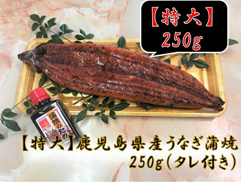 【ふるさと納税】「特大」鹿児島県産うなぎ蒲焼き250g(タレ付き)