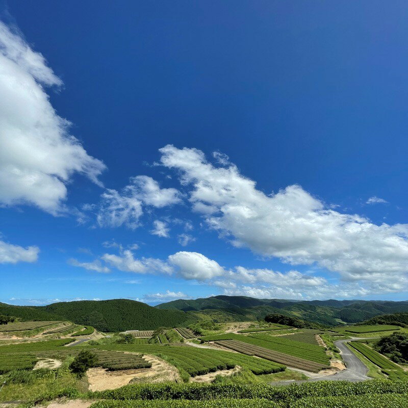 鹿児島県南九州市の画像3