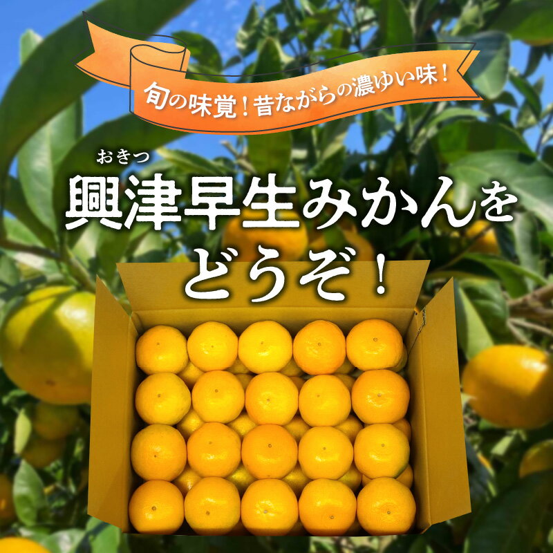 鹿児島県南九州市の画像3