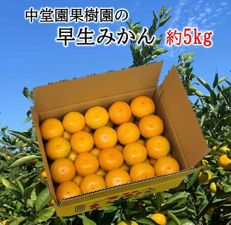 鹿児島県南九州市の画像2