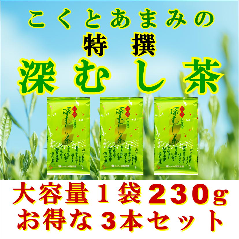 鹿児島県南九州市の画像2