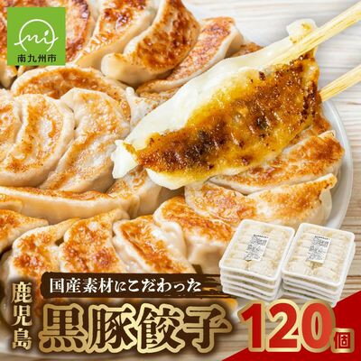 【ふるさと納税】国産素材にこだわった鹿児島黒豚餃子120個【配送不可地域：離島】【1722553】
