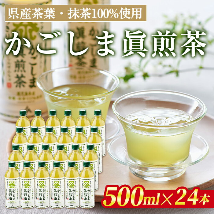 かごしま眞煎茶(500ml×24本) 鹿児島産茶葉 お茶 緑茶 茶 抹茶 PET ペットボトル 飲料 飲み物 [北さつま農業協同組合]