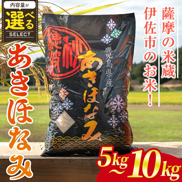[内容量が選べる!]鹿児島県産あきほなみ(5kg or 10kg) 国産 鹿児島県 米 お米 白米 伊佐米 [赤崎農園]