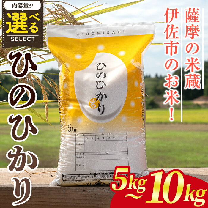 [内容量が選べる!]鹿児島県産ひのひかり(5kg or 10kg) 国産 鹿児島県 米 お米 白米 伊佐米 [赤崎農園]