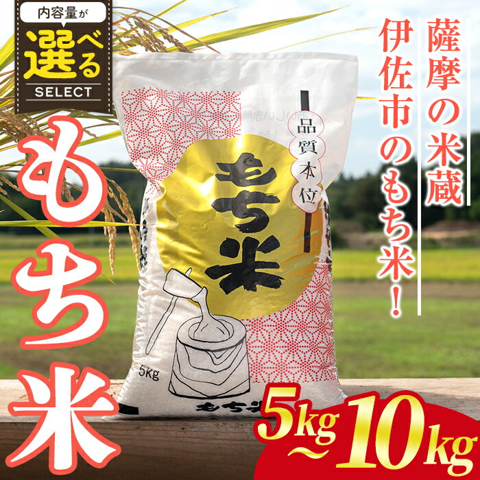 [内容量が選べる!]鹿児島県産もち米(5kg or 10kg) 国産 鹿児島県 餅米 お米 おはぎ 赤飯 おこわ 伊佐米 [赤崎農園]