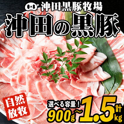 ＜容量を選べる！＞鹿児島県産！幻の黒・沖田の黒豚(計900g or 1.5kg・ロース、肩ロース、バラ、モモ、ウデ) 国産 九州産 鹿児島 肉 お肉 黒豚 豚肉 生姜焼き しょうが焼き しゃぶしゃぶ 冷凍 冷凍便【沖田黒豚牧場】【A3-01・B6-01】