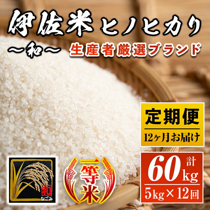 【ふるさと納税】【定期便】鹿児島県産！伊佐米ヒノヒカリ和?なごみ?(計60kg・5kg×12ヶ月) 白米 精米 ひのひかり【神薗商店】【L8-01】