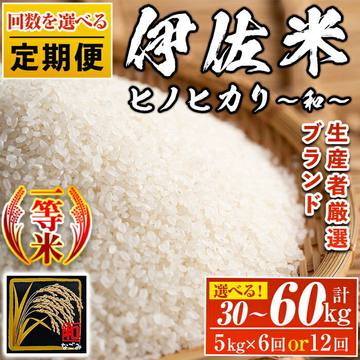 [回数を選べる!][定期便]鹿児島県産!伊佐米ヒノヒカリ和〜なごみ〜(計30kg or 60kg) 白米 精米 ひのひかり[神薗商店][F4-01・L8-01]