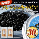 純国産フレッシュキャビア(30g・ベステル)＆チョウザメ生スモーク(200g)セット！国産 魚卵 白身 おつまみ 世界三大珍味 グルメ 贅沢 生ハム風 冷燻 加工品 冷凍 冷凍便