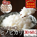 9位! 口コミ数「0件」評価「0」≪選べる容量≫【定期便6回】特別栽培ヒノヒカリ(計30kg/60kg・毎月5kg/10kg×6ヶ月) 鹿児島 お米 米 白米 精米 伊佐米 ･･･ 