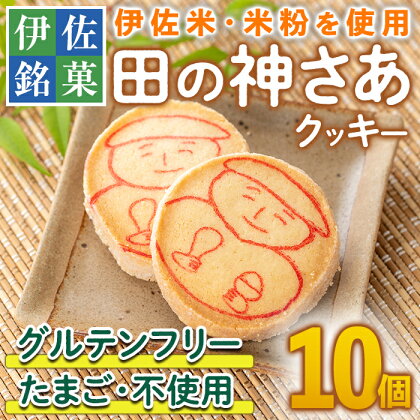 伊佐米使用！ 田の神さあクッキー(1箱・10個入) 洋菓子 お米 グルテンフリー スイーツ 卵不使用 鹿児島 クッキー おやつ 菓子 お菓子【トリコロール】