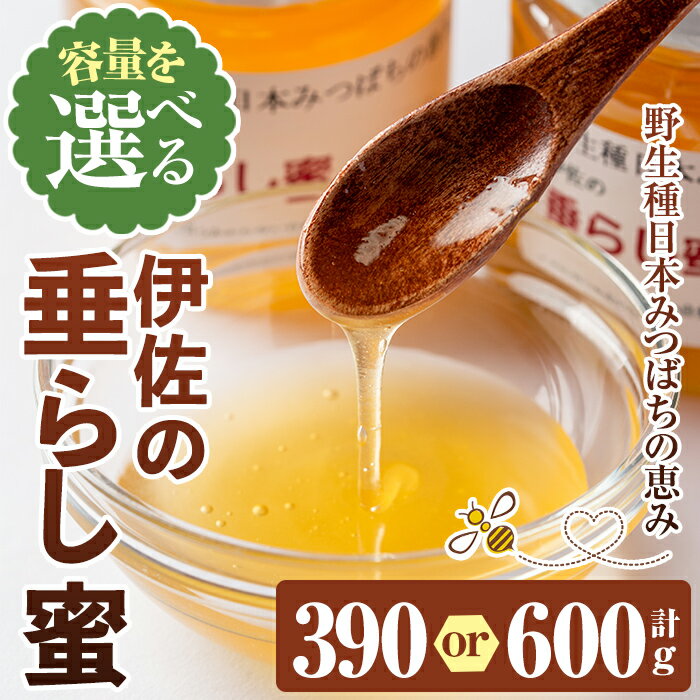 【ふるさと納税】＜容量を選べる 数量限定＞伊佐の垂らし蜜(計390g or 600g) 国産 はちみつ 百花蜜 野生種 日本ミツバチ 蜂蜜 ハチミツ ハニー【ゆず香房】【B0-05 C0-05】