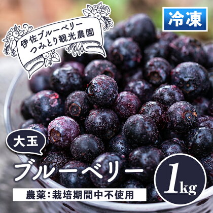 冷凍ブルーベリー(1kg) フルーツ 果物 冷凍 冷凍便【伊佐ブルーベリーつみとり観光農園】