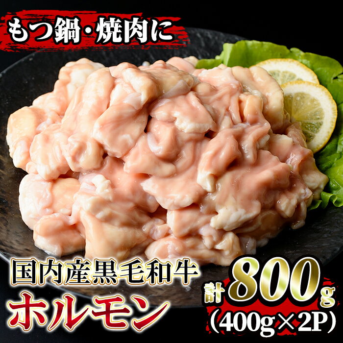 国内産黒毛和牛!ホルモン(計800g・400g×2P) 国産 牛 和牛 大腸 小腸 赤センマイ ミックス 小分け 真空パック もつ鍋 焼肉 煮込み BBQ バーベキュー アウトドア 冷凍 冷凍便[堀ノ内商会]