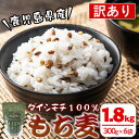 【ふるさと納税】《訳あり・数量限定》鹿児島県伊佐市産もち麦!<ダイシモチ>(計1.8kg・300g×6袋) 国産 九州産 訳あり 麦 ごはん 穀類 お米 ヘルシ...