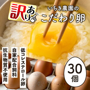 【ふるさと納税】《訳あり・毎月数量限定》いちき農園のこだわり卵(計30個・15個入り×2パック) 平飼い 鶏 たまご 低コレステロール 無添加 抗生物質不使用 卵かけご飯 TKG 訳あり【いちき農園】