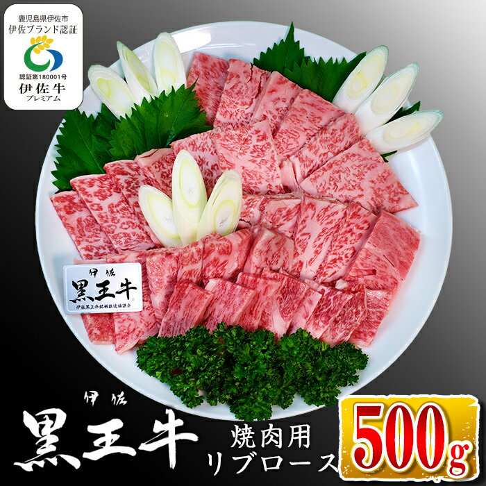 鹿児島県産黒毛和牛 伊佐黒王牛リブロース焼肉用!(500g) ブランド牛 牛肉 国産 九州産 鹿児島県産 ロース 焼肉 和牛 ギフト 肉 贈り物 プレゼント BBQ[プラン・ビー]