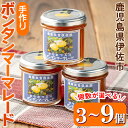 【ふるさと納税】<個数が選べる>手作りはちみつ入りボンタンマーマレード(3個 or 6個 or 9個)加工食品 果物 フルーツ 詰め合わせ 果肉 柑橘 低糖 ハ...