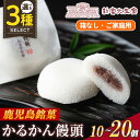 【ふるさと納税】<個数を選べる>ご家庭用かるかん饅頭(箱なし)10個~20個 和菓子 まんじゅう お菓子 鹿児島 伝統菓子 銘菓 軽羹 セット 簡易包装【新富大生堂】