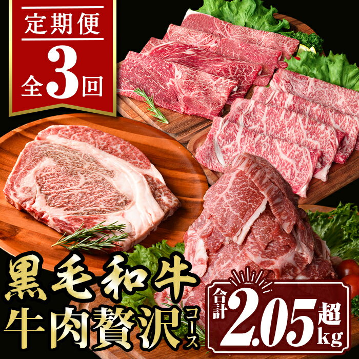 [定期便3回]牛肉贅沢コース (合計2.05kg超) 国産 肉 牛肉 霜降り すきやき しゃぶしゃぶ 牛しゃぶ 冷凍 ロース カタロース 肩ロース リブロース ステーキ アウトドア BBQ 食べ比べ セット[サンキョーミート株式会社]