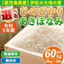 16位! 口コミ数「0件」評価「0」【定期便6回】選べる精米方法！令和5年産 鹿児島県伊佐南浦産 ひのひかり5kg・あきほなみ5kg (合計60kg・計10kg×6ヵ月) 国産･･･ 