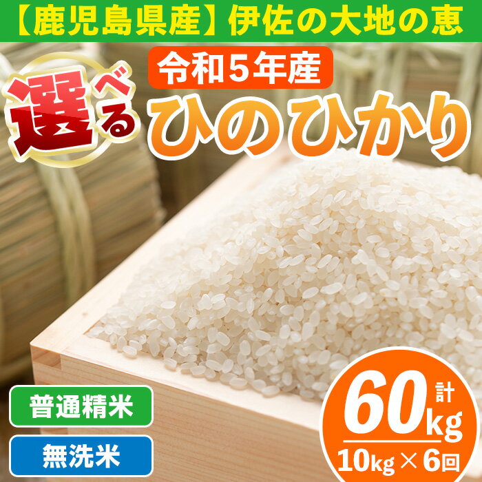 [定期便6回] 選べる精米方法!令和5年産 鹿児島県伊佐南浦産ひのひかり (合計60kg・計10kg×6ヵ月) 国産 白米 精米 無洗米 伊佐米 お米 米 生産者 定期便 ひのひかり[Farm-K]