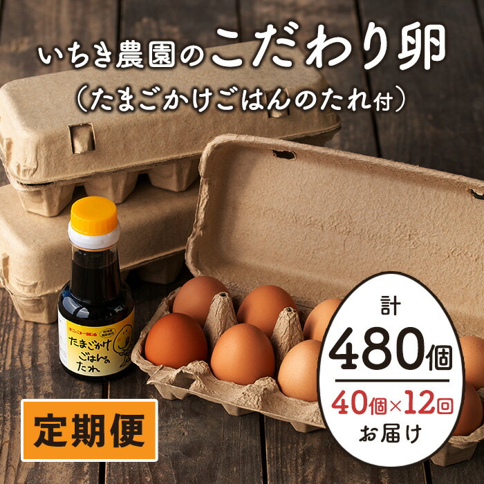 【ふるさと納税】【定期便】いちき農園のこだわり卵(計480個・40個×12カ月) 平飼い 鶏 たまご 卵 タマゴ 低コレステロール 無添加 抗生物質不使用 卵かけご飯 TKG 定期便【いちき農園】