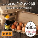 【ふるさと納税】【定期便】いちき農園のこだわり卵(計480個・40個×12カ月) 平飼い 鶏 たまご 卵 タマゴ 低コレステロール 無添加 抗生物質不使用 卵かけご飯 TKG 定期便【いちき農園】