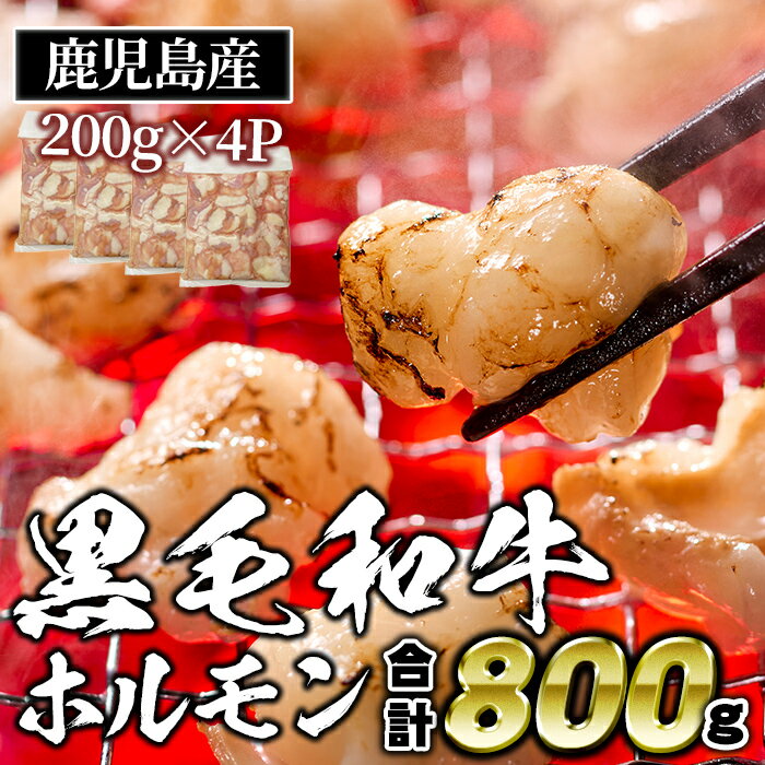 ≪毎月数量限定≫鹿児島産黒毛和牛ホルモン(合計800g・200g×4P) 国産 牛 和牛 小腸 小分け 真空パック もつ鍋 焼肉 煮込み BBQ バーベキュー アウトドア 冷凍 冷凍便[財宝]