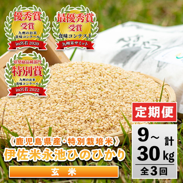 26位! 口コミ数「0件」評価「0」＜内容量が選べる＞【定期便】令和5年産 特別栽培米 永池ひのひかり玄米(3kg/5kg/10kg×3ヶ月) 鹿児島 永池 お米 米 玄米 伊･･･ 