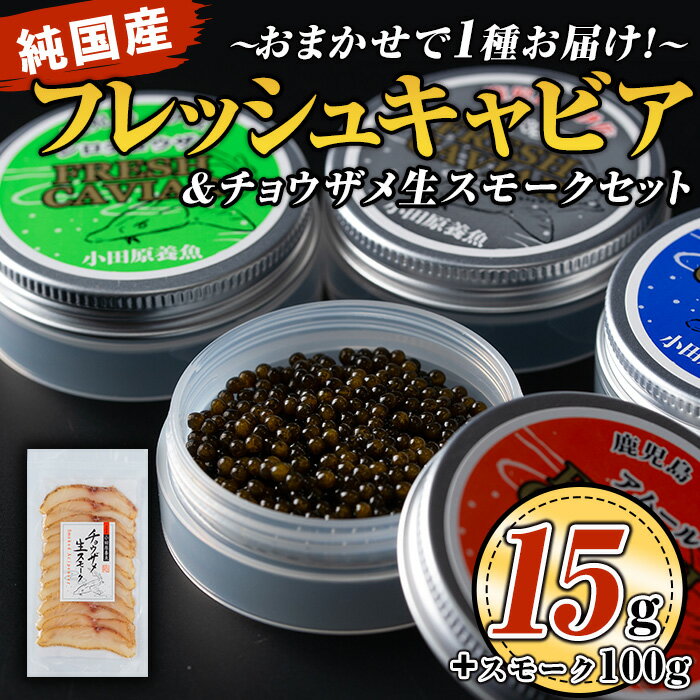 [毎月数量限定]おまかせフレッシュキャビア(15g×1種)&チョウザメスモーク(100g×1P)セット 国産 詰合せ 魚卵 白身 おつまみ 世界三大珍味 加工品 冷凍 冷凍便 セット[小田原養魚]